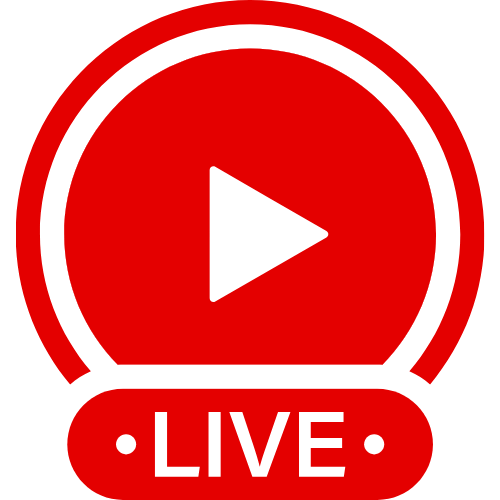 Butt Plugged And Spanked | Live Webcam Shows & Interactive Adult Entertainment